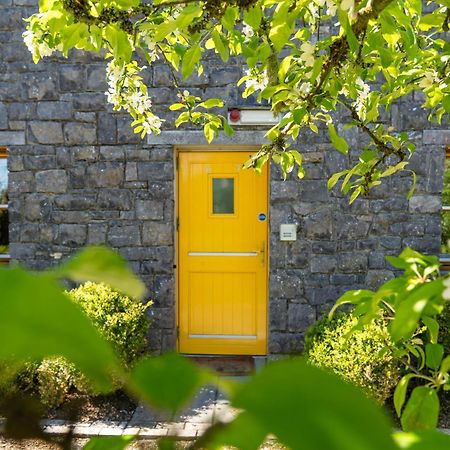 Burren Court Lodge Ballyvaughan Esterno foto
