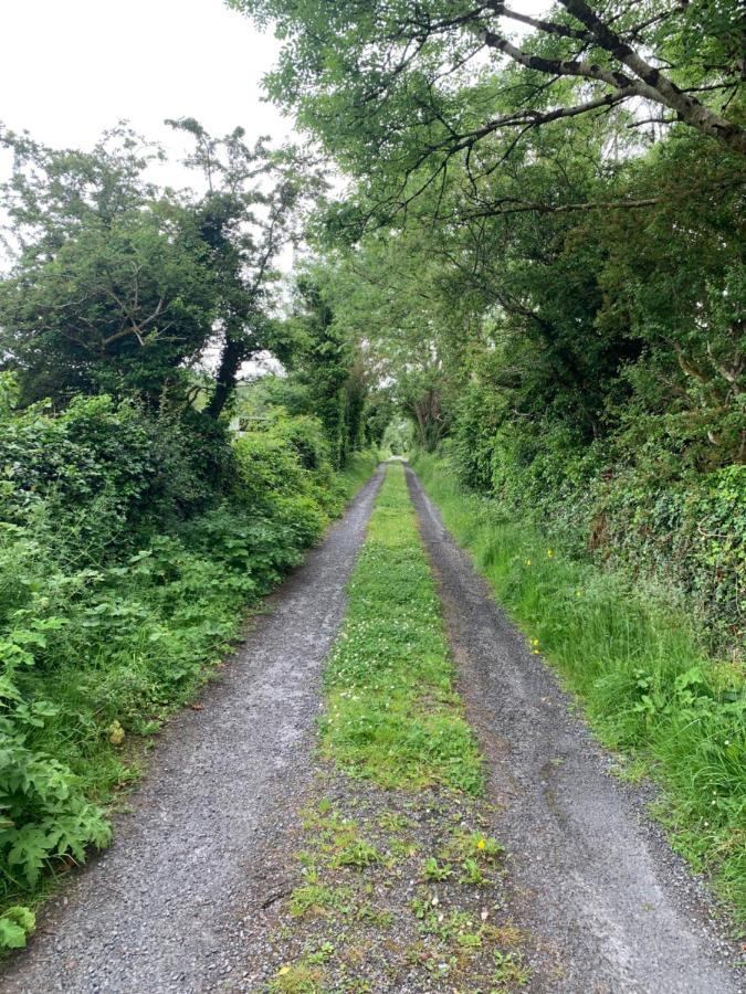Burren Court Lodge Ballyvaughan Esterno foto