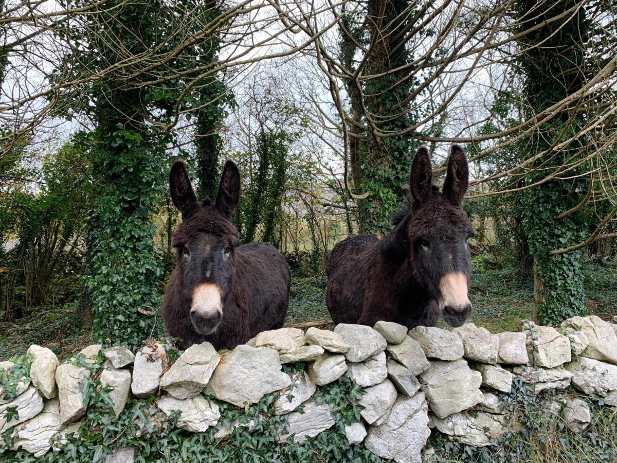 Burren Court Lodge Ballyvaughan Esterno foto