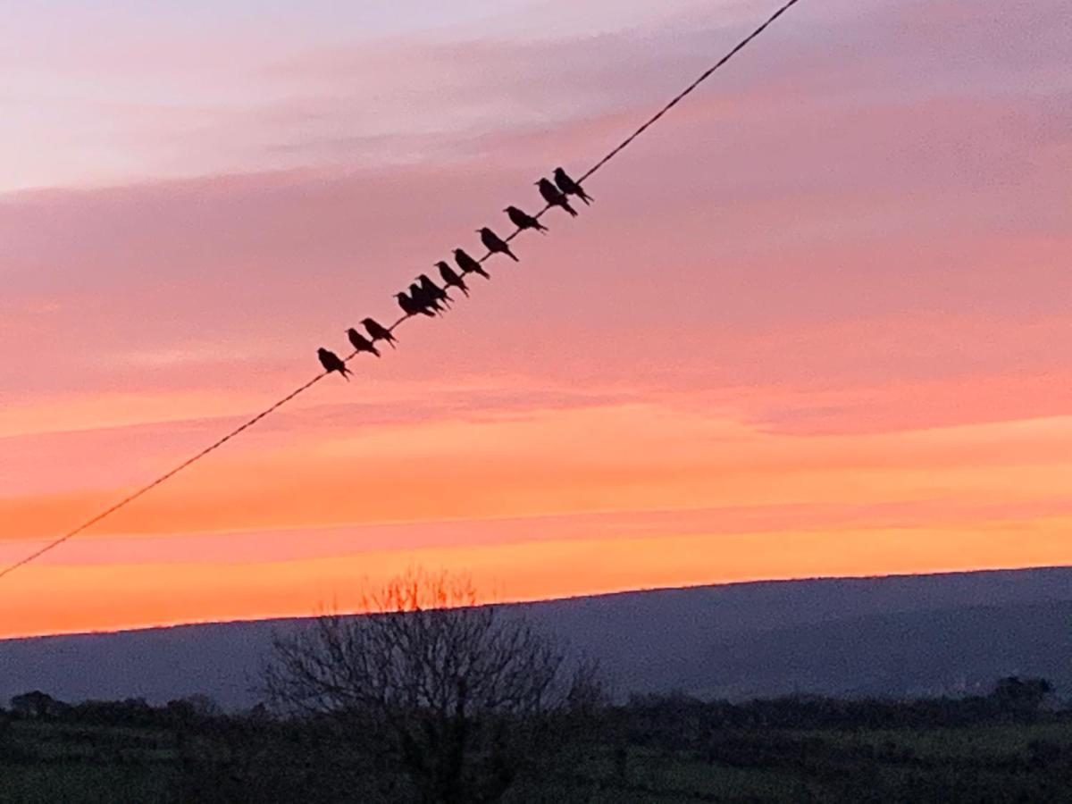 Burren Court Lodge Ballyvaughan Esterno foto