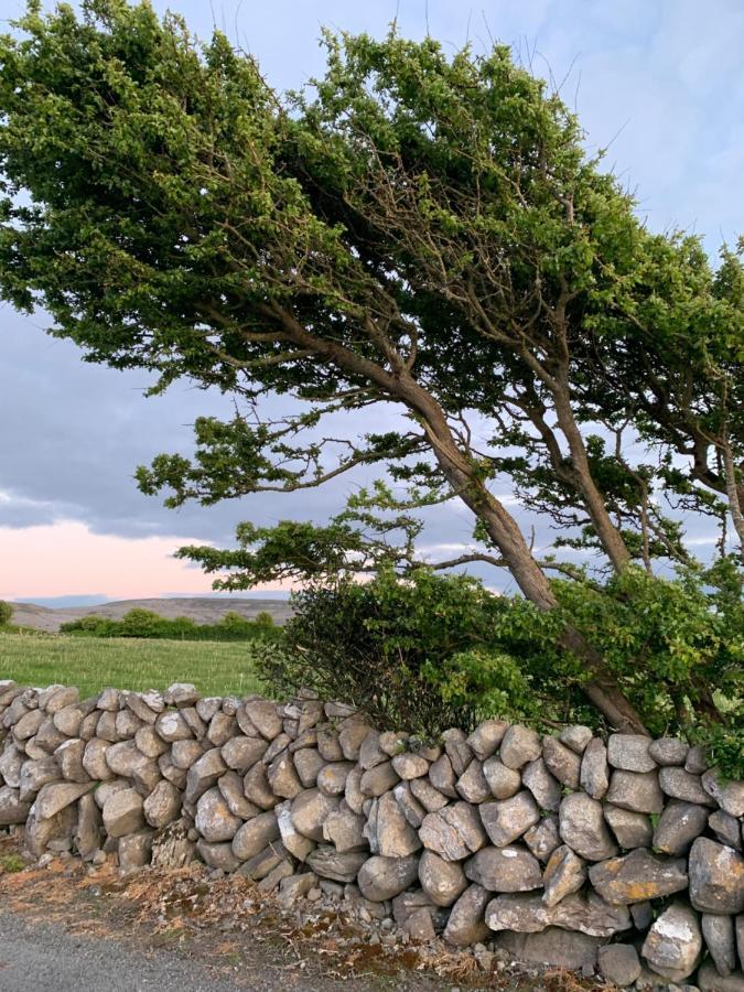 Burren Court Lodge Ballyvaughan Esterno foto